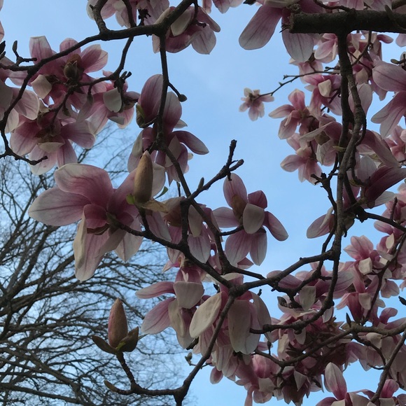 Meet your Posher, Jill - Picture 1 of 1